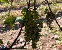 20230625_103840066_iOS