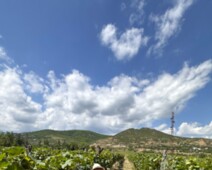 20230625_103916407_iOS