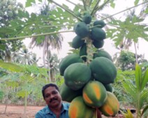 20250501_162947000_iOS